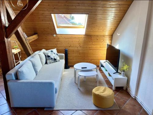 L’Alsacien Cosy : Duplex - Netflix - Wifi/Fibre
