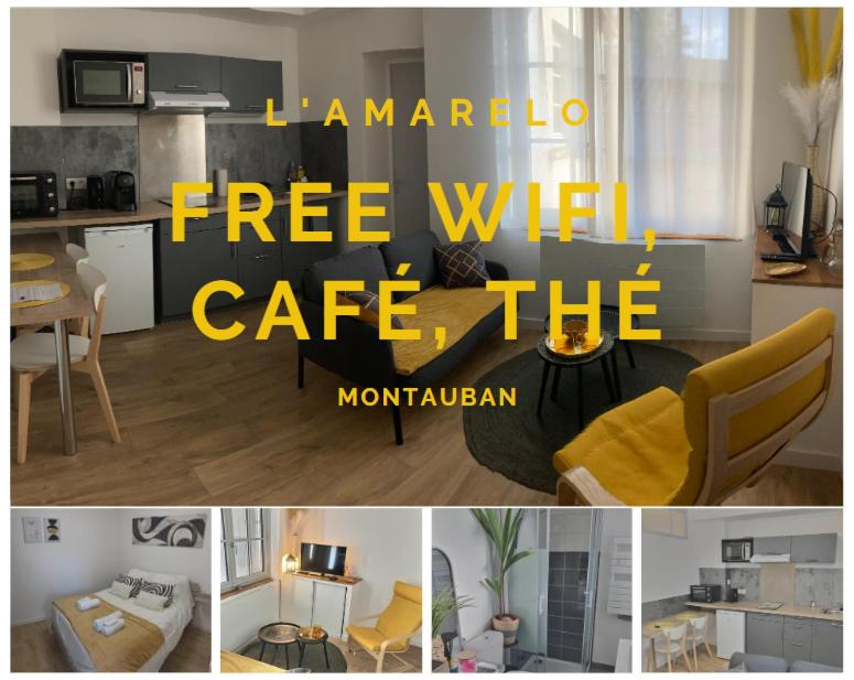 Appartement L'Amarelo 17 Rue du Docteur Alibert 82000 Montauban