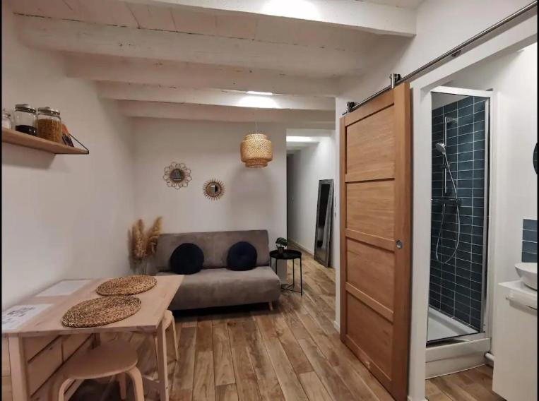 Appartement L'ANTONINPlein centre-maison carrée/P1 Bis 9 Rue Vespasien 30000 Nîmes