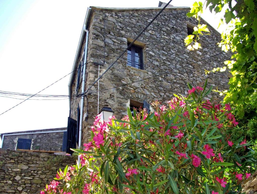 L'ARDOISINE