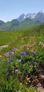 L' Aubisque