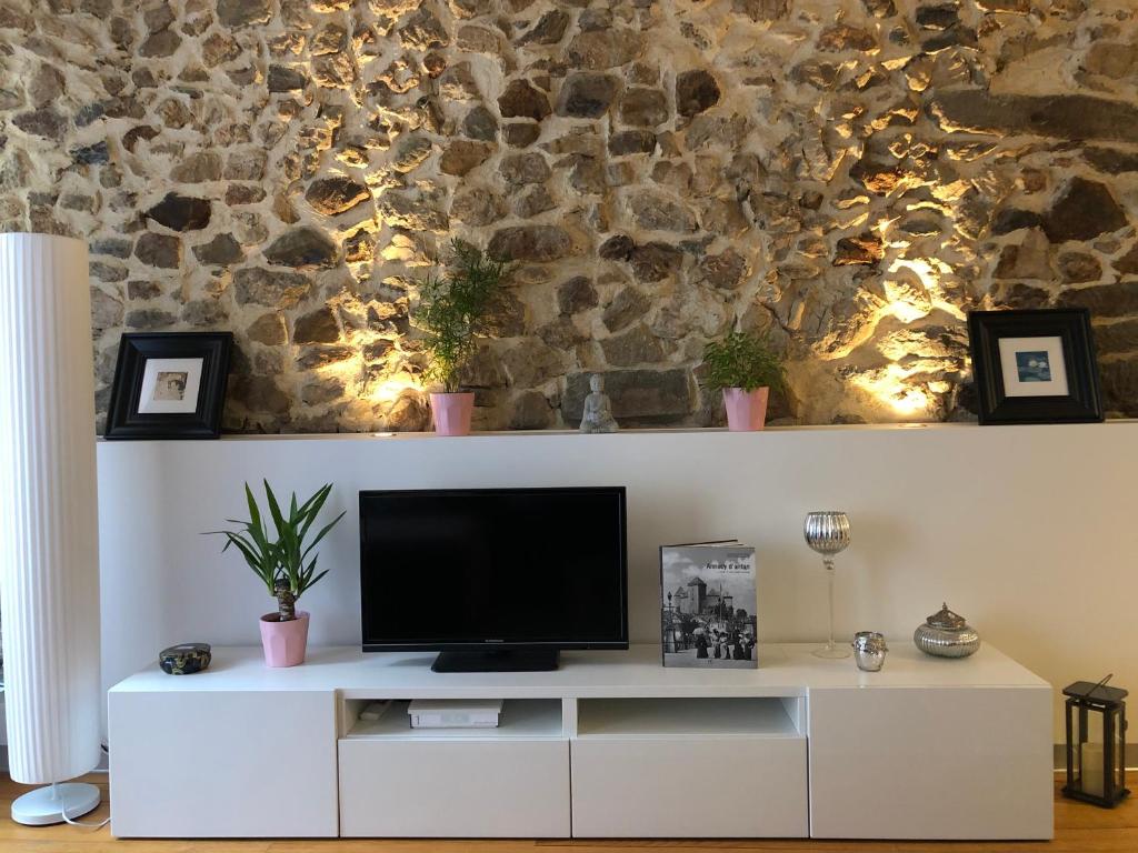 Appartement L'Authentik, charme et confort en vieille ville 18 Faubourg Sainte-Claire 74000 Annecy