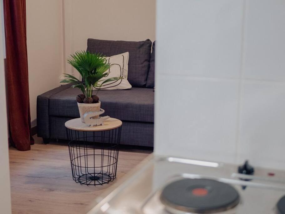 Appartement L’Écrin Nîmes - Le Cocoon Dorée Etage 2 18 Rue Dorée 30000 Nîmes