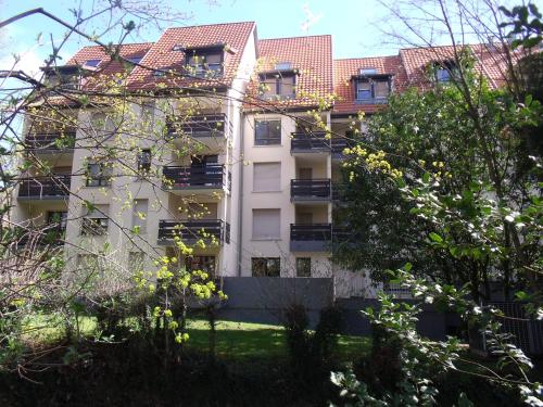 l'ecureuil