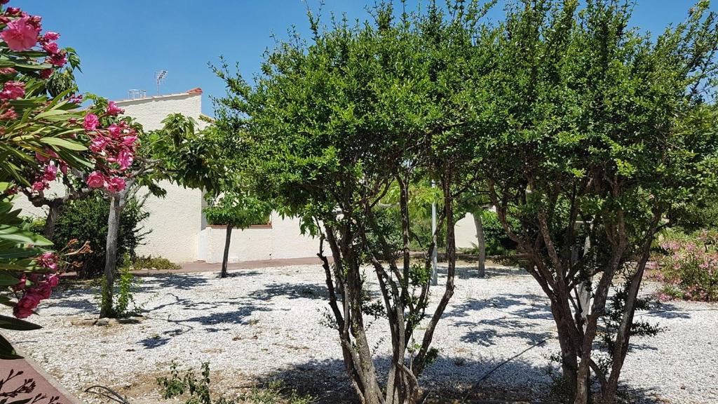 l'Eldorado palavas-les-flôts 34250 Palavas-les-Flots