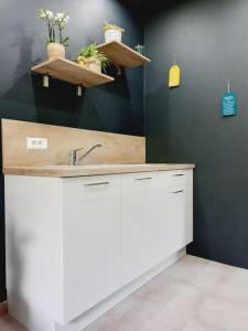 Appartement L'Empesson Studio pleine nature Route de la Frasnée 39130 Clairvaux-les-Lacs Franche-Comté