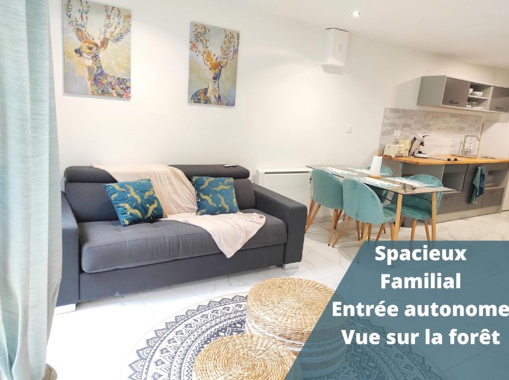 Appartement L'escapade.T2 ☆ Jardin ☆ Spacieux ☆ Calme 9 Avenue Frédéric Mistral 31320 Castanet-Tolosan