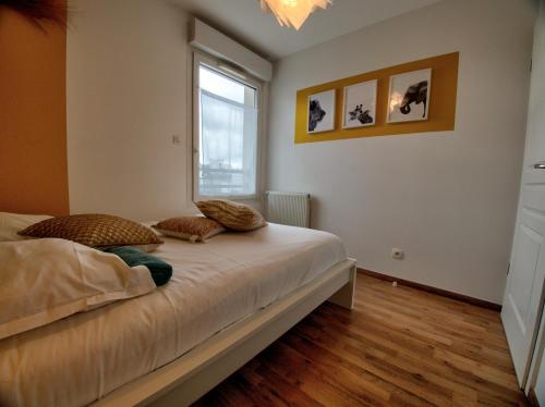 ☆ L'Exotique ☆ 2 chambres ☆ NETFLIX ☆