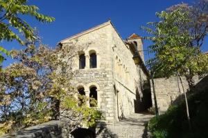 L'Olivier d'Anna - village médiéval Sainte-Jalle Baronnies provençales