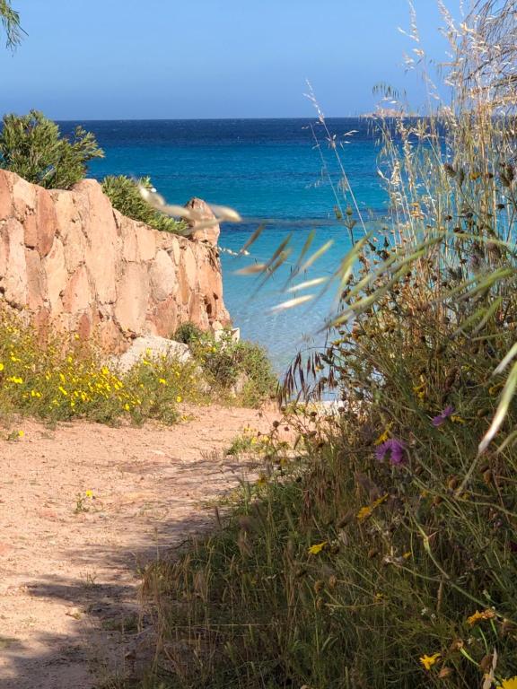 L'opaline - Vue plage-mer-digue-Wifi-Netflix-Parking abrité