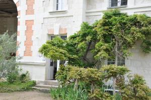 Appartement L'Orangerie du Château - LE NID - GITE 2 Personnes 18 Route de la Chaussée 49650 Brain-sur-Allonnes Pays de la Loire