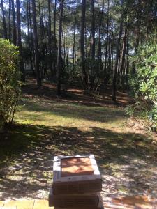 ***L'orée des Pins*** Appartement T2 en RDC avec jardin REFAIT A NEUF