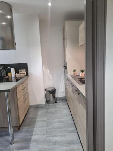 L'Ourse, Epinal,très bel appartement quartier Port