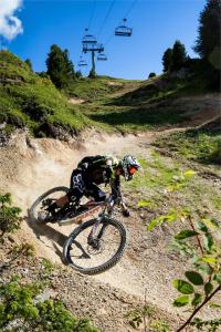 L'ourson rider