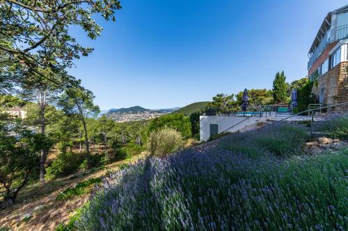 La Belle Californienne