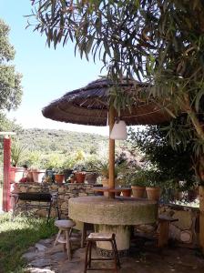 Appartement La Bergerie du Moulin Molino Novo 20246 San-Gavino-di-Tenda Corse