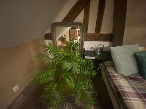 “La bohème”, appartement centre de Rouen