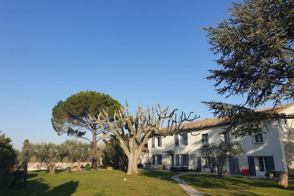 La bohème place aux herbes