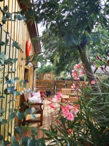 la cabane