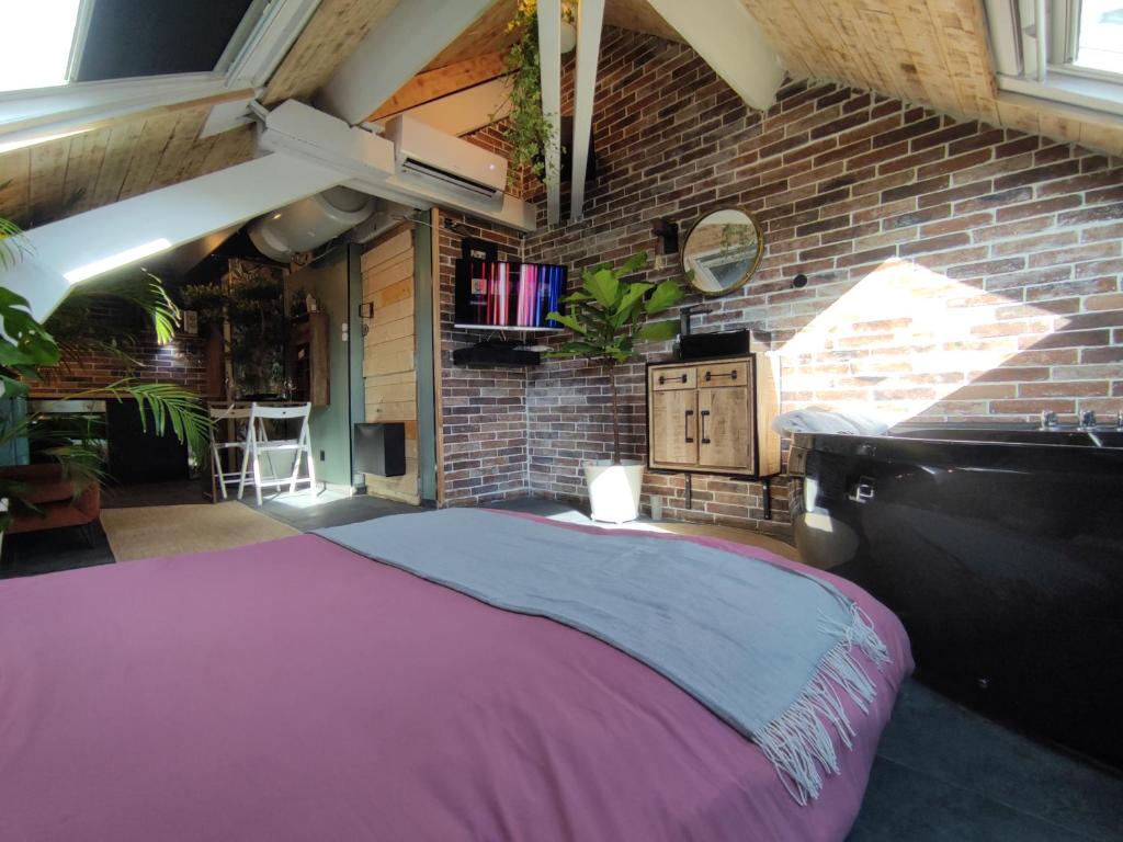 La cachette sous les toits balnéo climatisé 8 Rue Vauquelin, 44100 Nantes