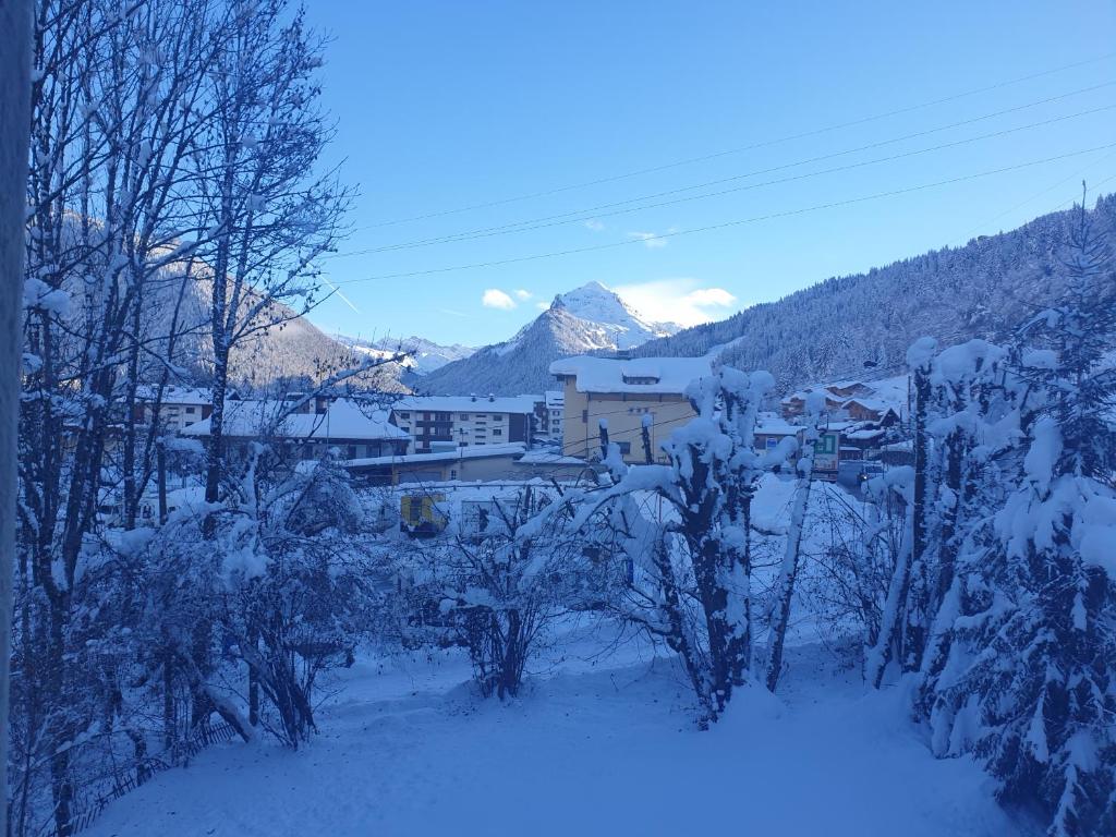 Appartement La Chanterelle Apartment 1420 Route de la Plagne 74110 Morzine