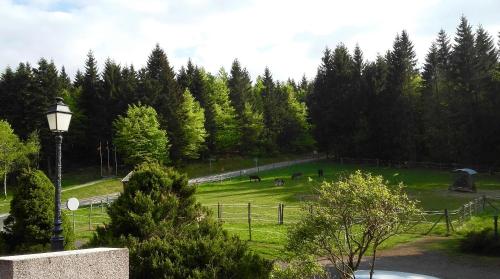 Appartement la Charbonnière Bellefosse france