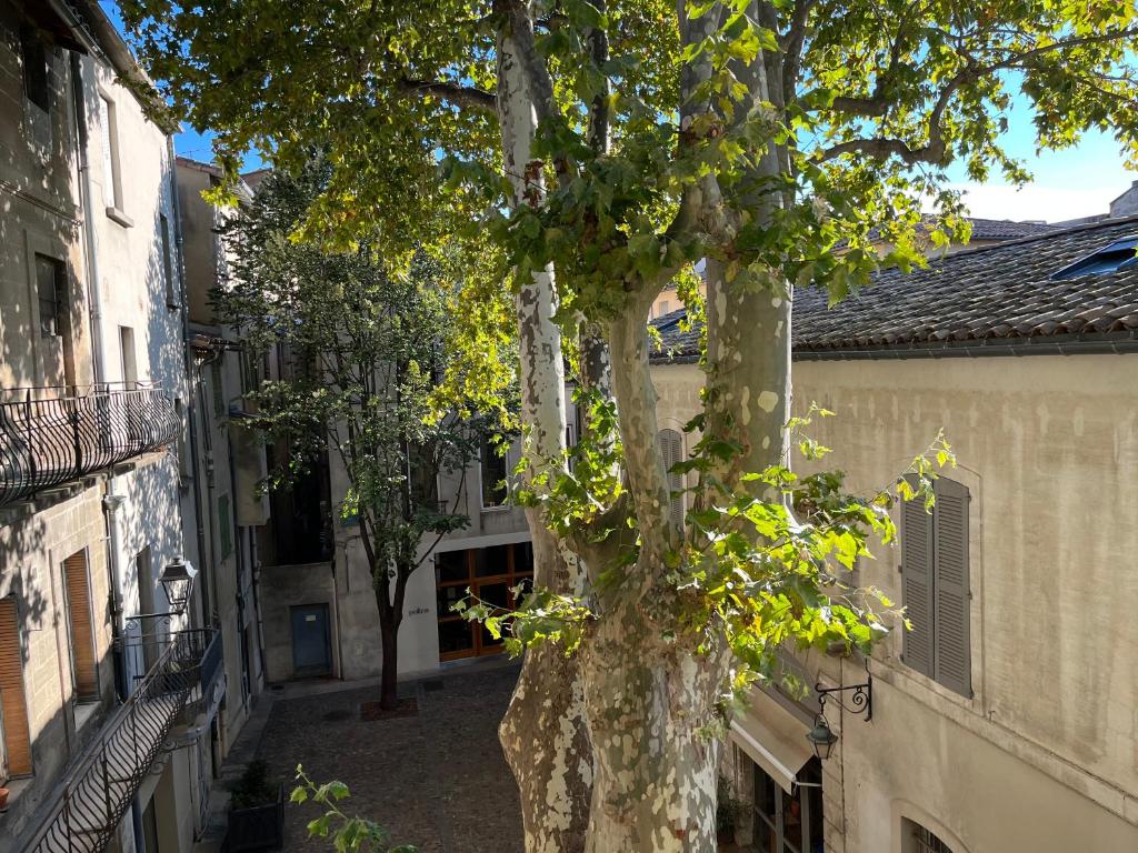 La charmante du Palais des Papes 14 Rue Joseph Vernet, 84000 Avignon