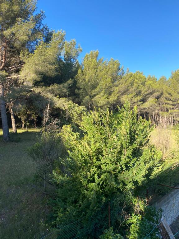 Appartement La cigales Chemin des Gabians 13500 Martigues