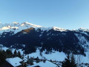 La Clusaz 2 pièces 4 étoiles 3-5 personnes - Vue extraordinaire sur les Aravis