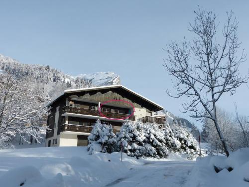 Appartement La Clusaz, 2 pièces, 4 personnes - FR-1-304-272 La Clusaz france