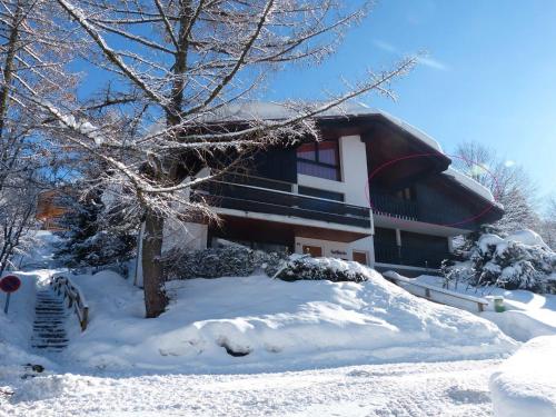 Appartement La Clusaz, 3 pièces, 6 personnes - FR-1-304-163 La Clusaz france