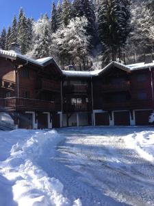 Appartement La combe 307 Chemin des Combes 74110 Morzine Rhône-Alpes