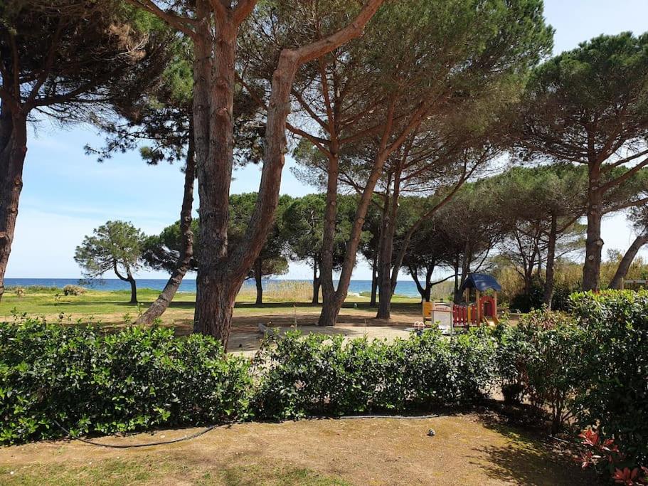 Appartement La corse les pieds dans l'eau à 2 min de la plage L'Avillanella 20230 Poggio-Mezzana