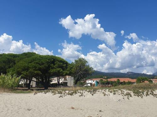 La corse les pieds dans l'eau à 2 min de la plage