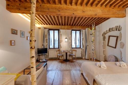 La Cour Filaterie - Suite of 30 sq m in the Annecy breakfast included