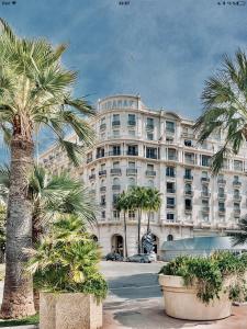 Appartement La Croisette - Superbe studio au mythique Palais Miramar 65 Boulevard de la Croisette 06400 Cannes Provence-Alpes-Côte d\'Azur