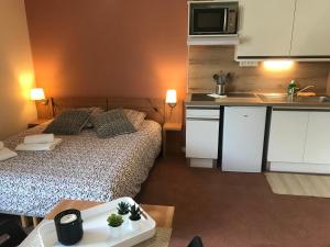 Appartement La Féclaz Ski aux pieds Grand Studio Tout confort 1ER ETAGE 73230 LA FECLAZ LES DESERTS - LES TRIVES 73230 Les Déserts Rhône-Alpes