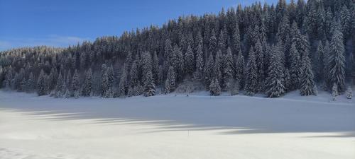 LA FERME DU LAC