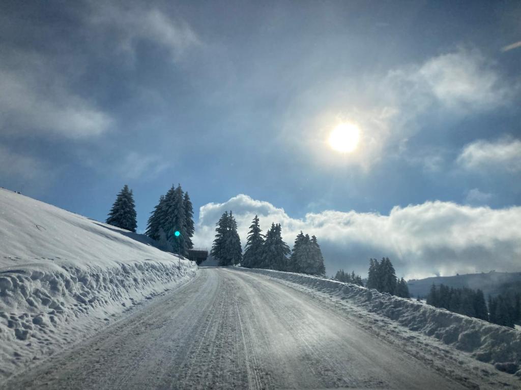 La forêt des Rennes Route du Mont Bisanne, 73270 Villard-sur-Doron
