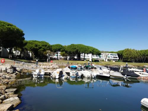 La Grande-Motte : Appartement avec belle vue