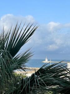 La Grande Motte:Studio+balcon vue mer Centre-ville