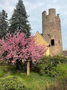 La jolie maison bleue, au coeur de l'Alsace