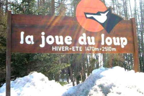 La joue du loup
