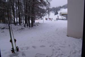 La joue du loup