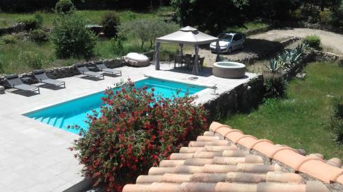 la lavande bleue