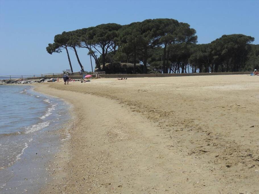 La Londe les pieds dans l'eau Super Croisette Miramar, 83250 La Londe-les-Maures