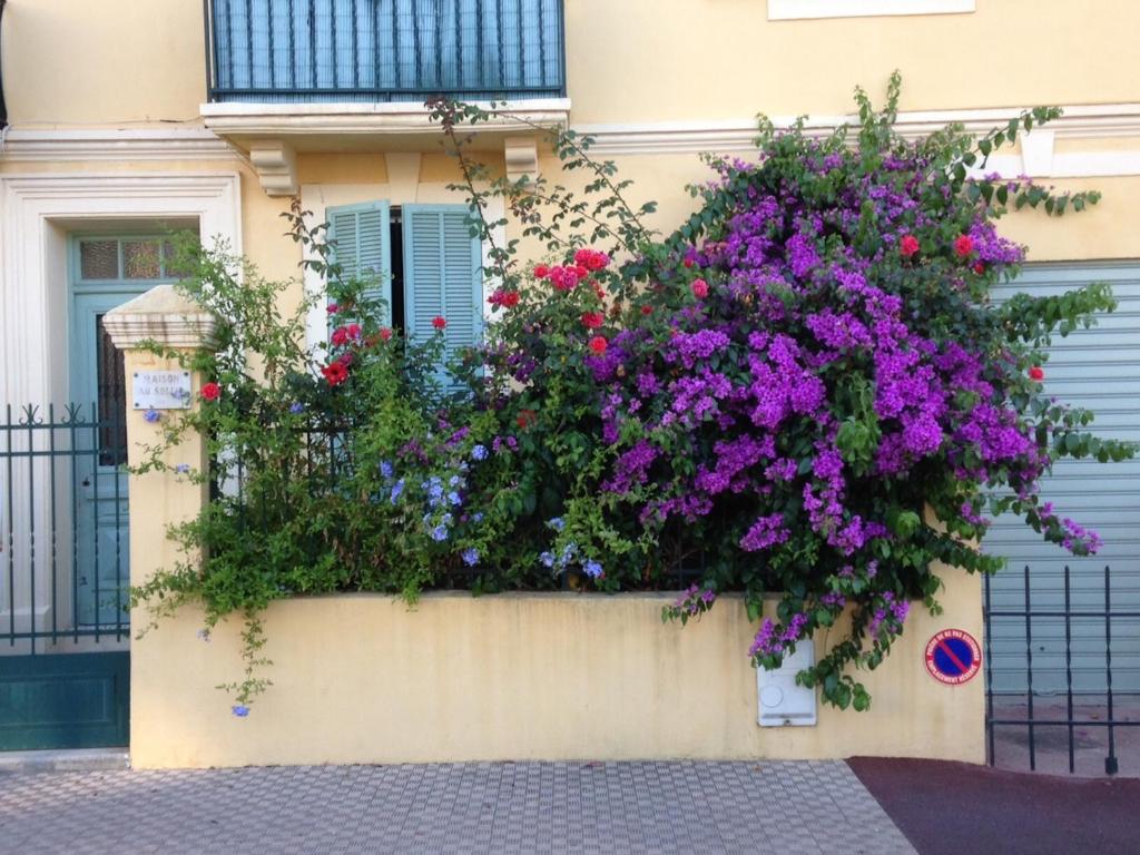 Appartement La Maison au Soleil 16 Avenue Cochrane 06500 Menton