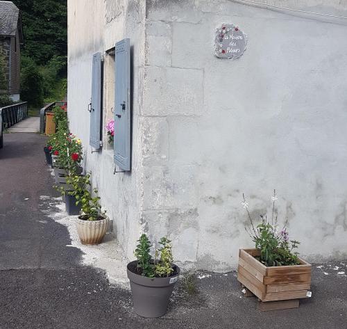 la maison des fleurs studio