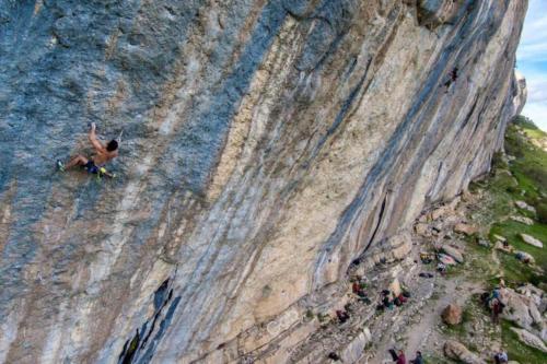 La marMotte perchée