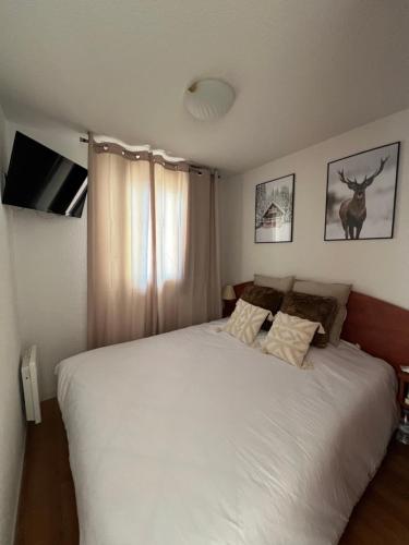 La Mongie magnifique Appart 7 pers vue pistes, piscine, wifi, salle de sport